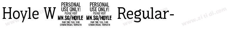 Hoyle W05 Regular字体转换